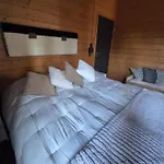 Taehtisara Syöte
