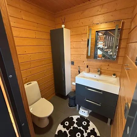 别墅 Taehtisara 索特