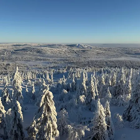 Villa Taehtisara Syöte