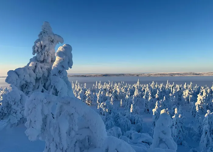 וילה Taehtisara סיוטה