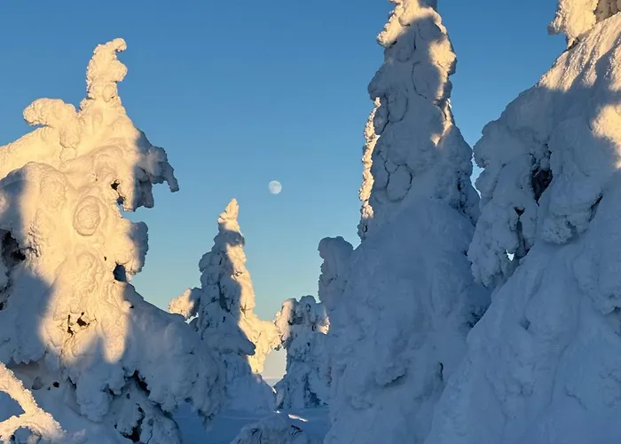 Taehtisara Villa Syöte