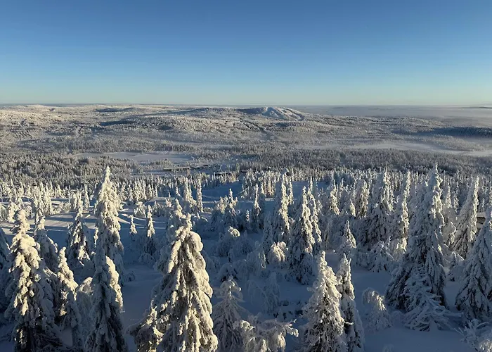 Villa Taehtisara Syöte